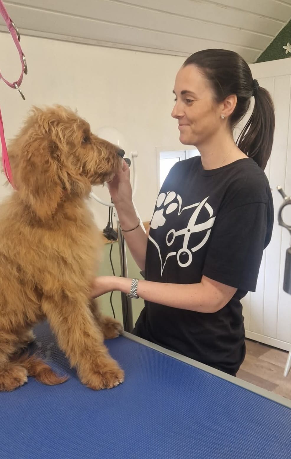 Professional dog grooming at LEH Dog Grooming